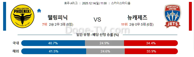 12월14일 웰링턴 피닉스 FC 뉴캐슬 제츠 FC 해외축구분석 스포츠무료중계 스포츠분석